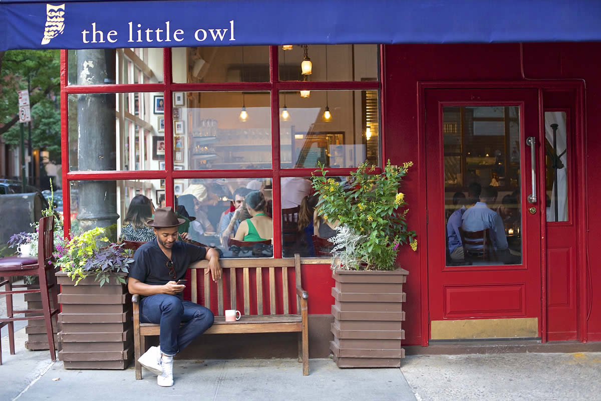 the-little-owl